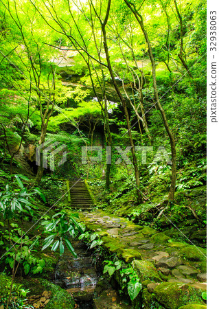 新鮮的綠色橋Kannon佐世保吉井鎮 新鮮的綠色橋Kannon佐世保吉井鎮 32938063