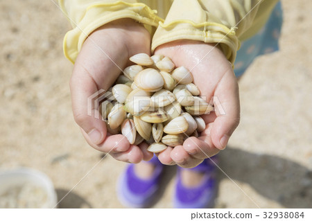 Child doing sea hunt on Ishigaki Island 32938084