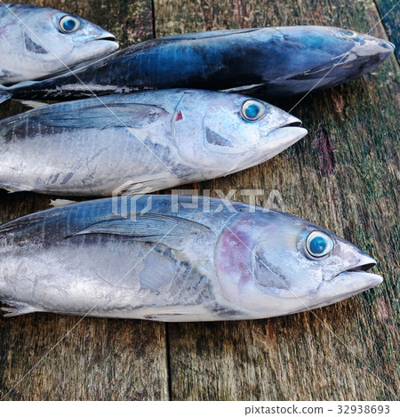 Fish wooden background Fish wooden background 32938693