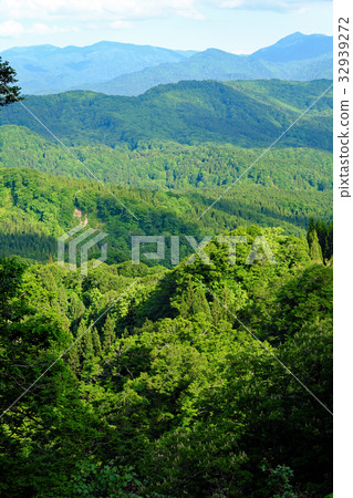 Shirakami mountains fresh green mountains 32939272