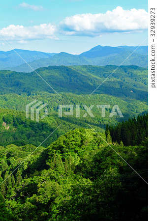 Shirakami mountains fresh green mountains 32939273