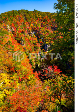 [Miyagi Prefecture] Autumn leaves of Naruko Gorge 32940235