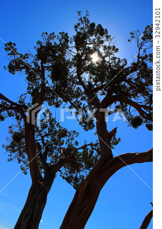 Sedona, United States Sedona, United States 32942101