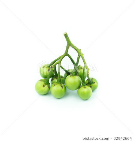 turkey berry (Solanum torvum) isolated on white  32942664