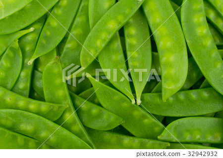 green snow pea pods background green snow pea pods background 32942932