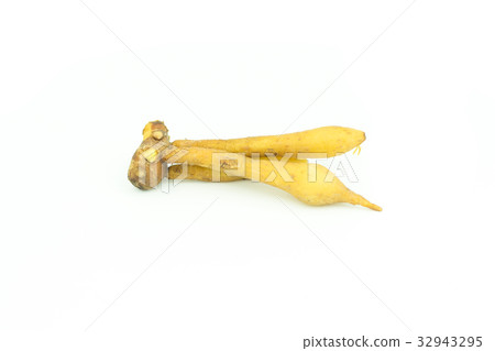 Fingerroot, Kaempfer, Boesenbergia isolate  32943295