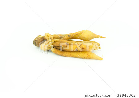 Fingerroot, Kaempfer, Boesenbergia isolate  32943302