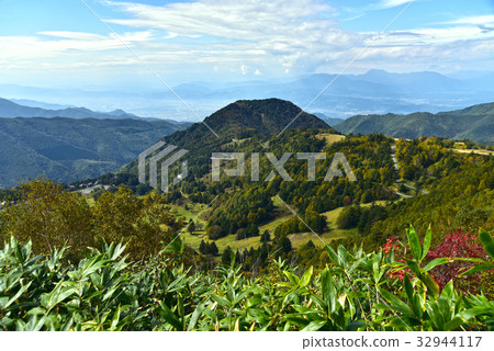 長野看著山田牧場 32944117