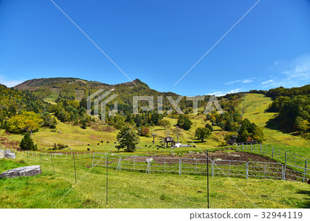 秋田山田牧場，長野縣 32944119