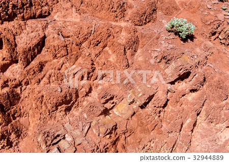 Multicolor soil of mercury occurrence in Altai  32944889