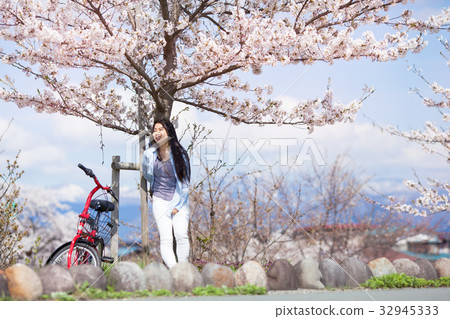 Woman cycling a row of cherry blossom trees 32945333
