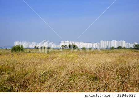 Plants, Apartments 32945628