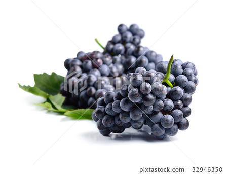 Dark grapes, Isolated on white background Dark grapes, Isolated on white background 32946350