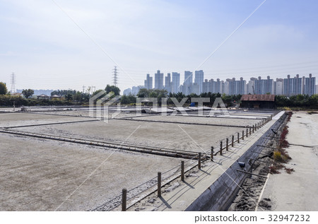 Tortoise, Sora wetland ecological park Tortoise, Sora wetland ecological park 32947232