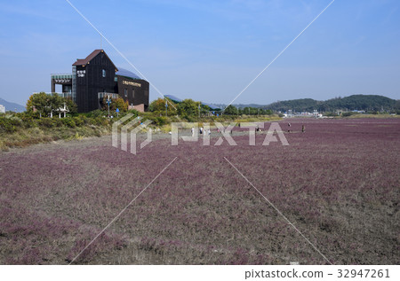 Tidal flat, Sora wetland ecological park 32947261