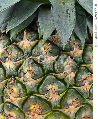 pineapple isolated on background pineapple isolated on background 32947716