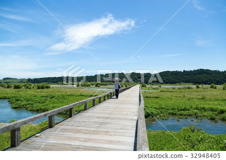Shimada and Kashiwa Bridge 32948405