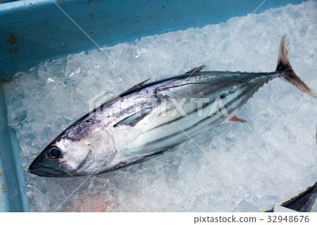 Bonito Bonito 32948676