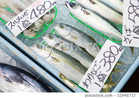 年輕的魚 年輕的魚 32948717