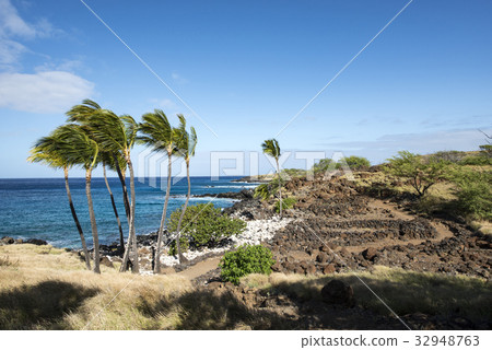 LAPAKAHI STATE HISTORICAL PARK, Hawaii Island LAPAKAHI STATE HISTORICAL PARK, Hawaii Island 32948763