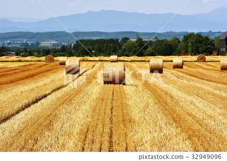 Roll bale symmetry 32949096