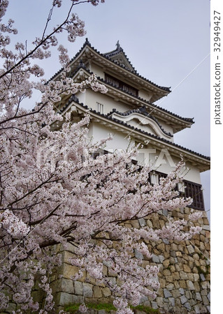 Marugame Castle 32949427