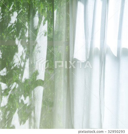 Lace curtain summer image 32950293