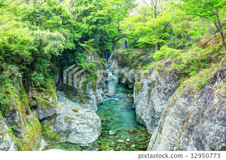 Okuba Keima Forest Gorge 32950773