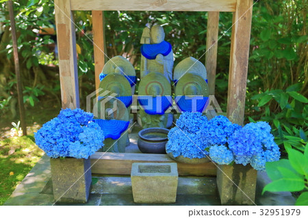Hydrangea Jizo in Meitsuki-in 32951979