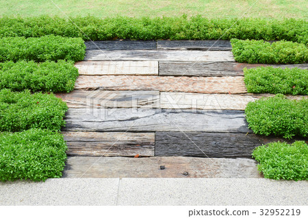 Grass and wood background at outdoor Grass and wood background at outdoor 32952219