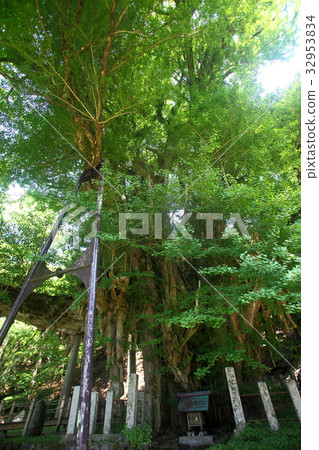 Daiginji Temple of Bodhi Temple 32953834