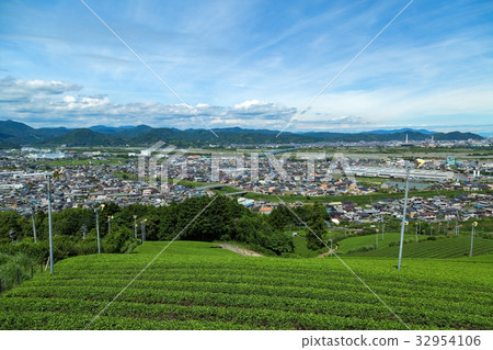 本地城市形象Shizuoka，Shimada 32954106