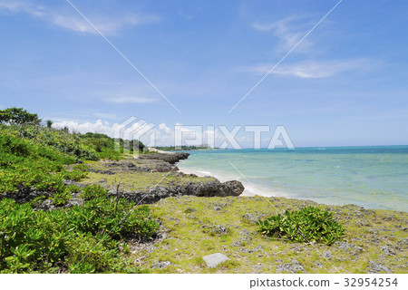 Okinawa Okinawa 32954254