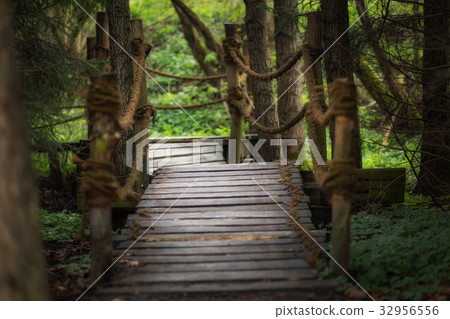 A small wooden bridge in the forest A small wooden bridge in the forest 32956556