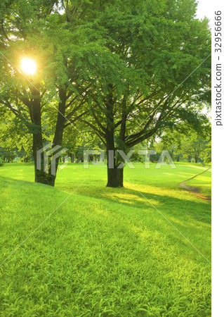 Park solar light 32956666