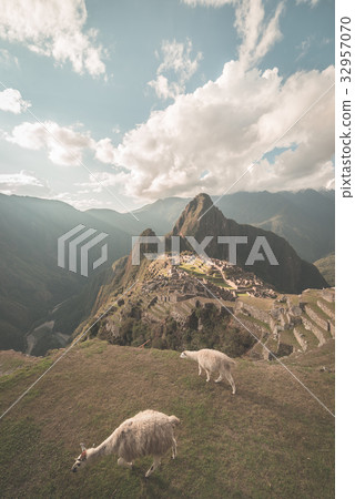 Machu Picchu with llamas Machu Picchu with llamas 32957070