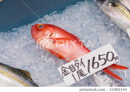 Red snapper 32960144