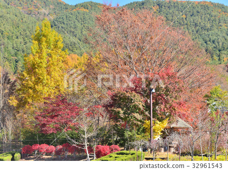 Autumn Lake Kawaguchi-27955 32961543