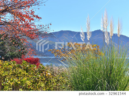 Autumn Lake Kawaguchi-27956 Autumn Lake Kawaguchi-27956 32961544