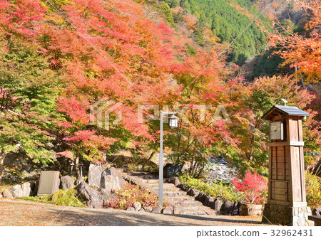 梅島溫泉-27993秋葉 32962431
