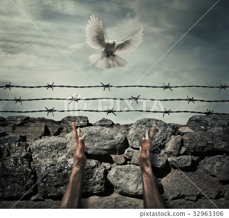 need forgiveness need forgiveness 32963306