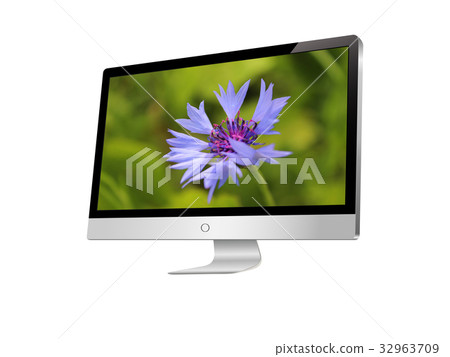 Modern LCD monitor with cornflower on screen Modern LCD monitor with cornflower on screen 32963709