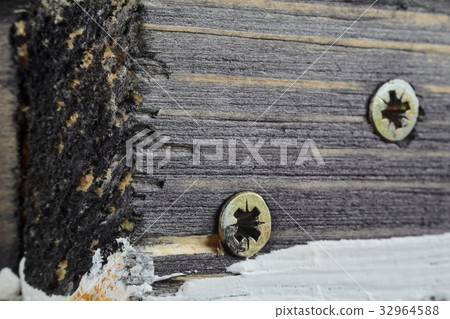Two Screw Heads on Wood Surface Two Screw Heads on Wood Surface 32964588