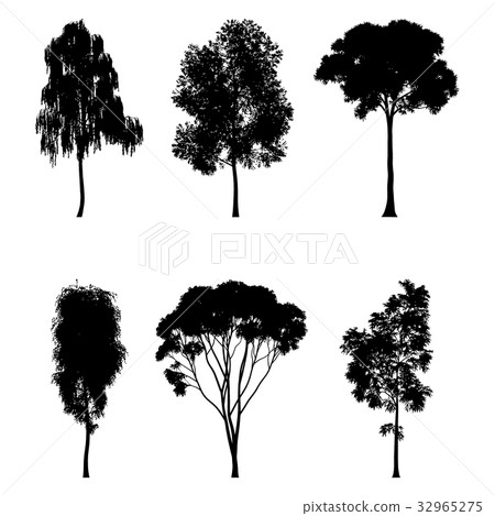 Vector illustration of tree silhouettes   32965275