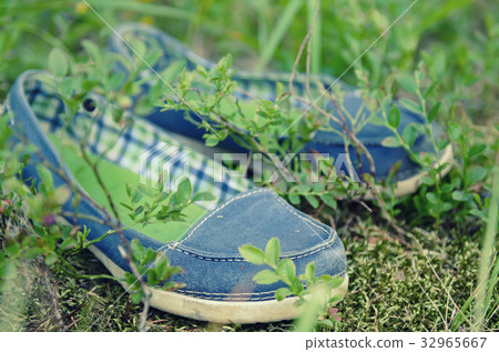 Moccasins in the grass Moccasins in the grass 32965667