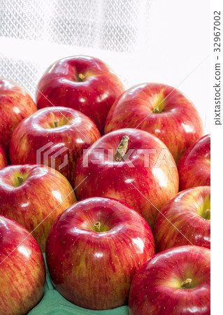 Apple Jonah金牌 32967002