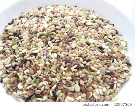 小米飯 小米飯 32967569