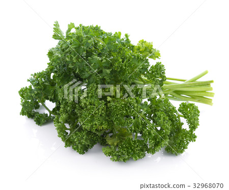 parsley isolated on a white background 32968070