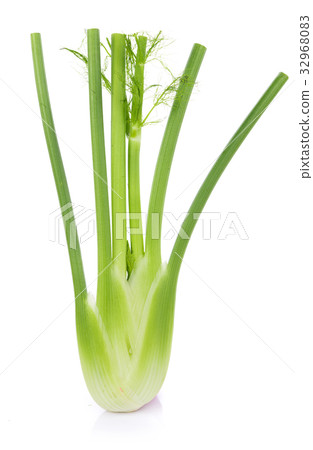 closeup fresh fennel bulb isolated on white 32968083