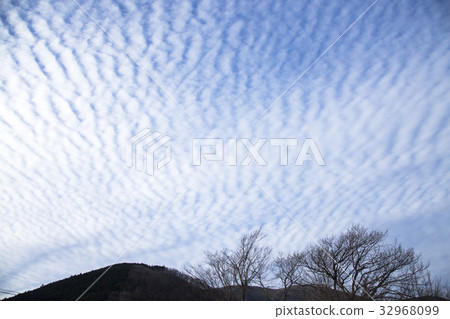 秋雲 32968099